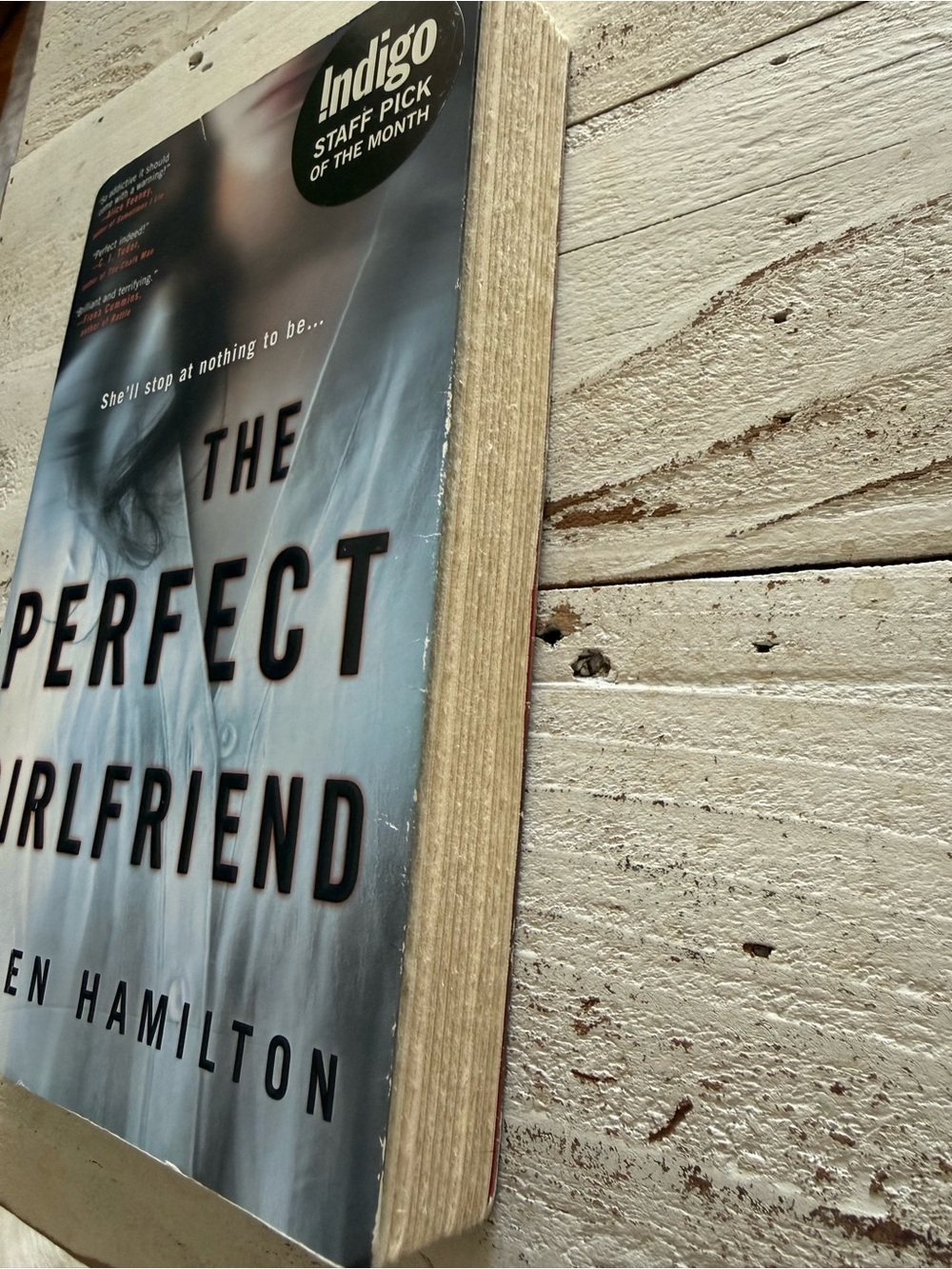 The Perfect Girlfriend by Karen Hamilton - Light Blue Cover - Picture 2 of 4